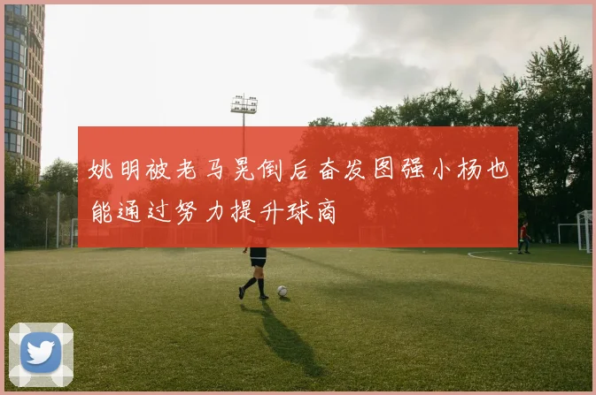 姚明被老马晃倒后奋发图强小杨也能通过努力提升球商