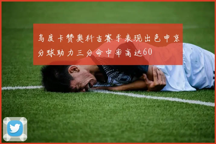 乌度卡赞奥科吉赛季表现出色申京分球助力三分命中率高达60